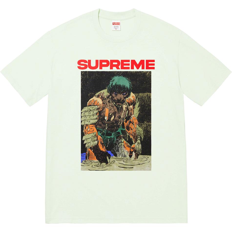 Supreme Ronin Tee Tシャツ Mint | JP238KI