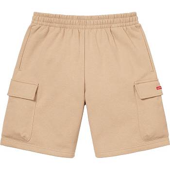 Supreme Small Box Baggy Cargo Sweat ショーツ ブラウン | JP366HK